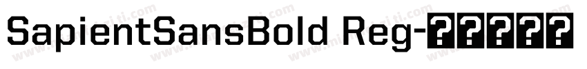 SapientSansBold Reg字体转换